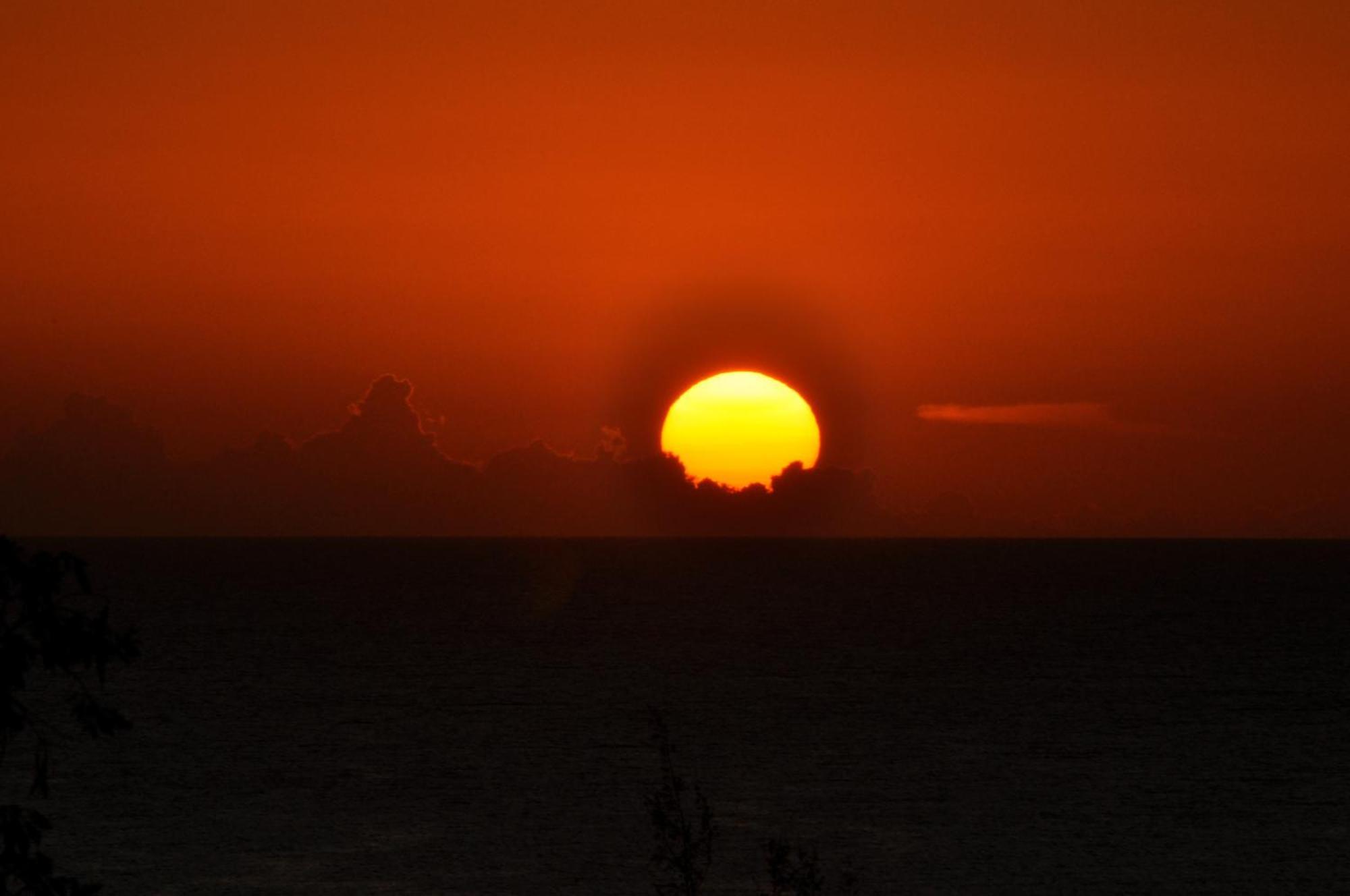 Roatan Bed & Breakfast Apartments West End Esterno foto