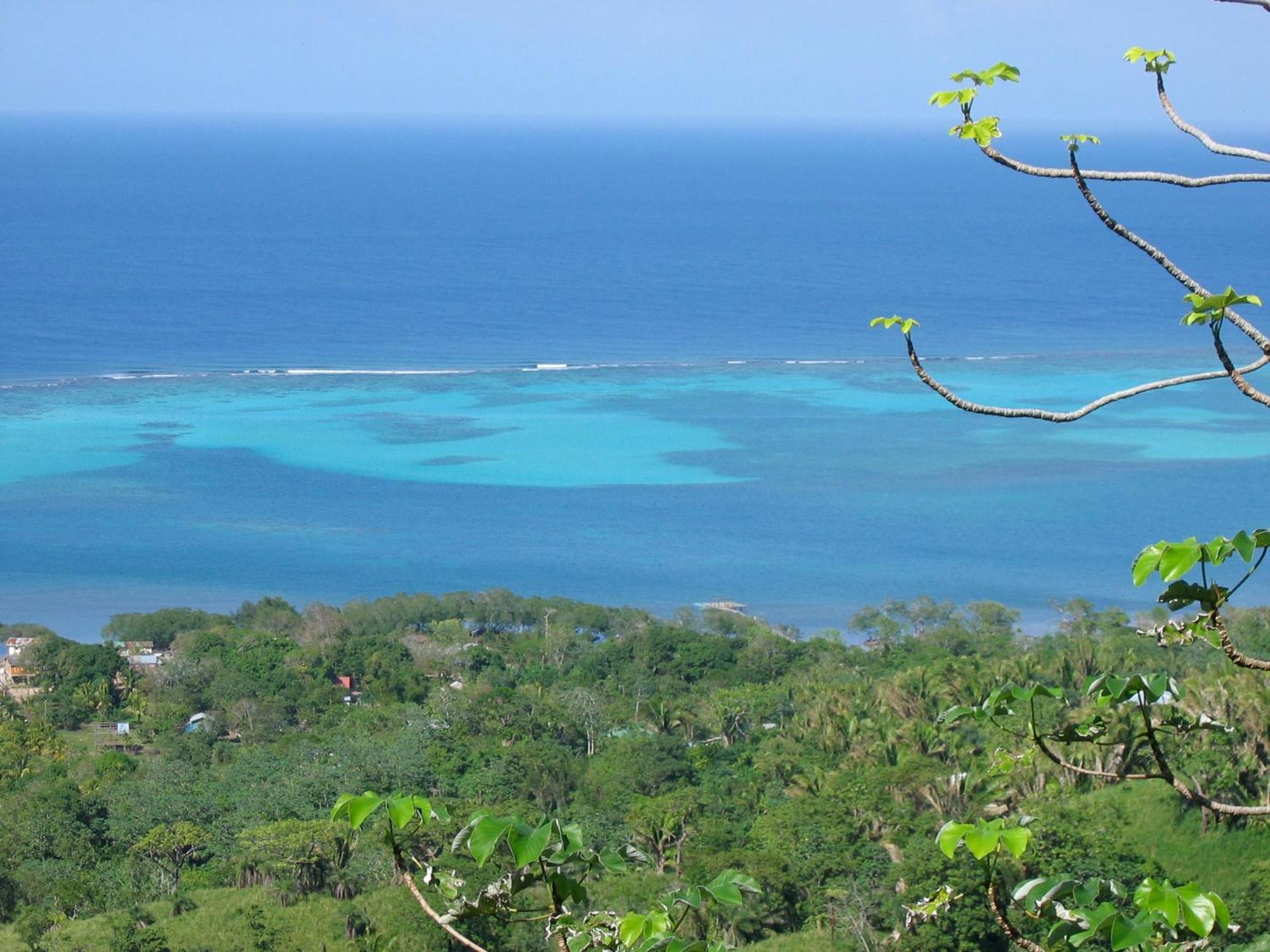 Roatan Bed & Breakfast Apartments West End Esterno foto