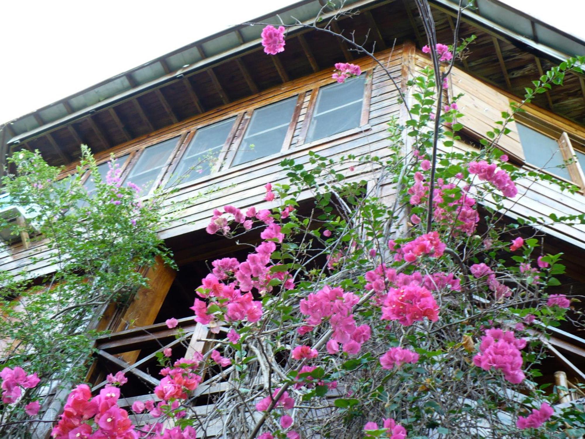 Roatan Bed & Breakfast Apartments West End Esterno foto